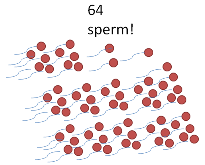 Image showing sperm