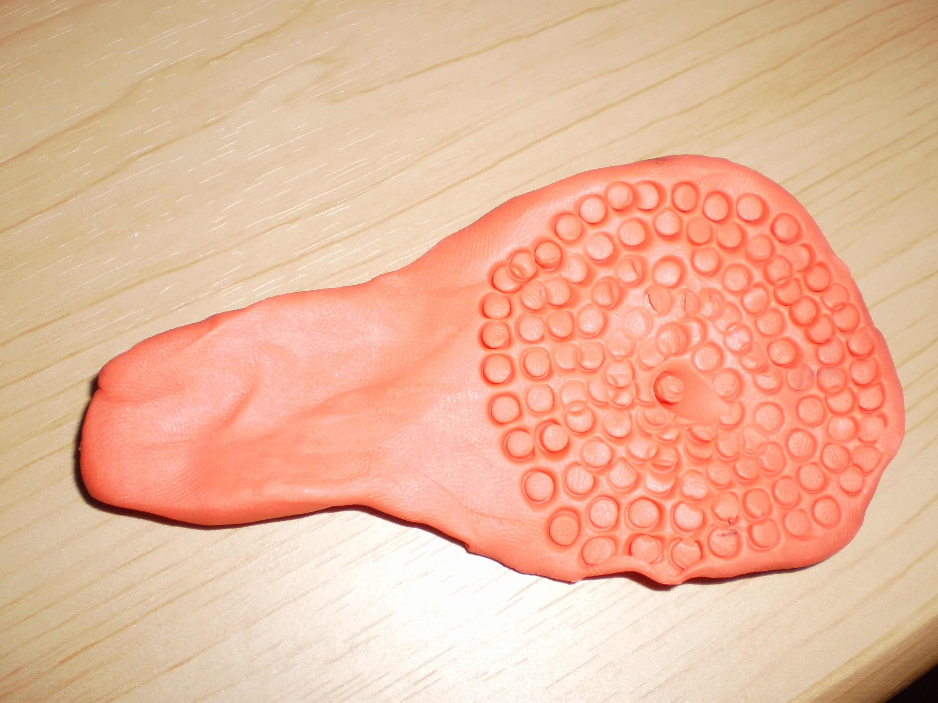 Image showing Imaginal  leg disc